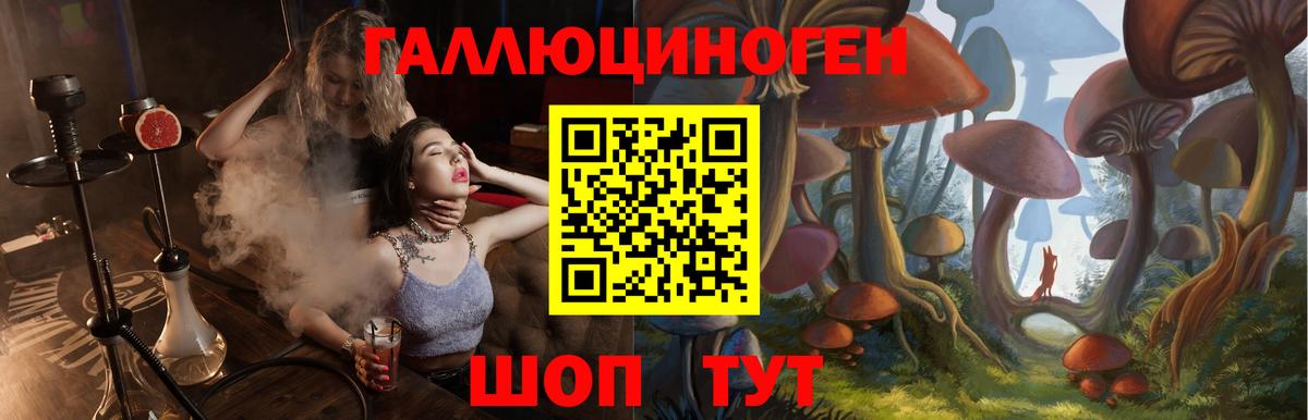 Мценск  Галлюциногенные грибы мухоморы  Вход с VPN  Псилоцибиновые грибы ЛСД 