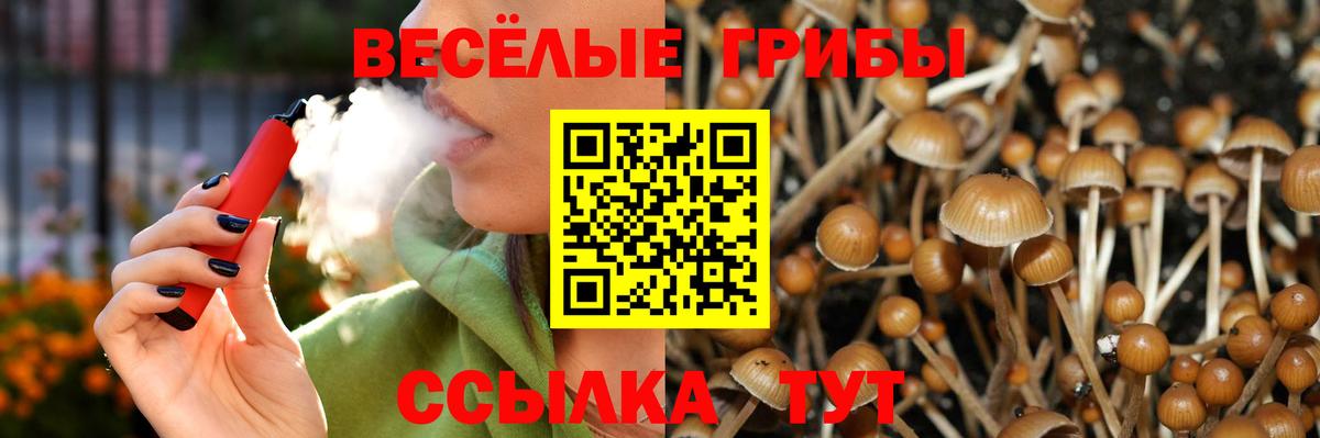 Галлюциногенные грибы мухоморы Мценск